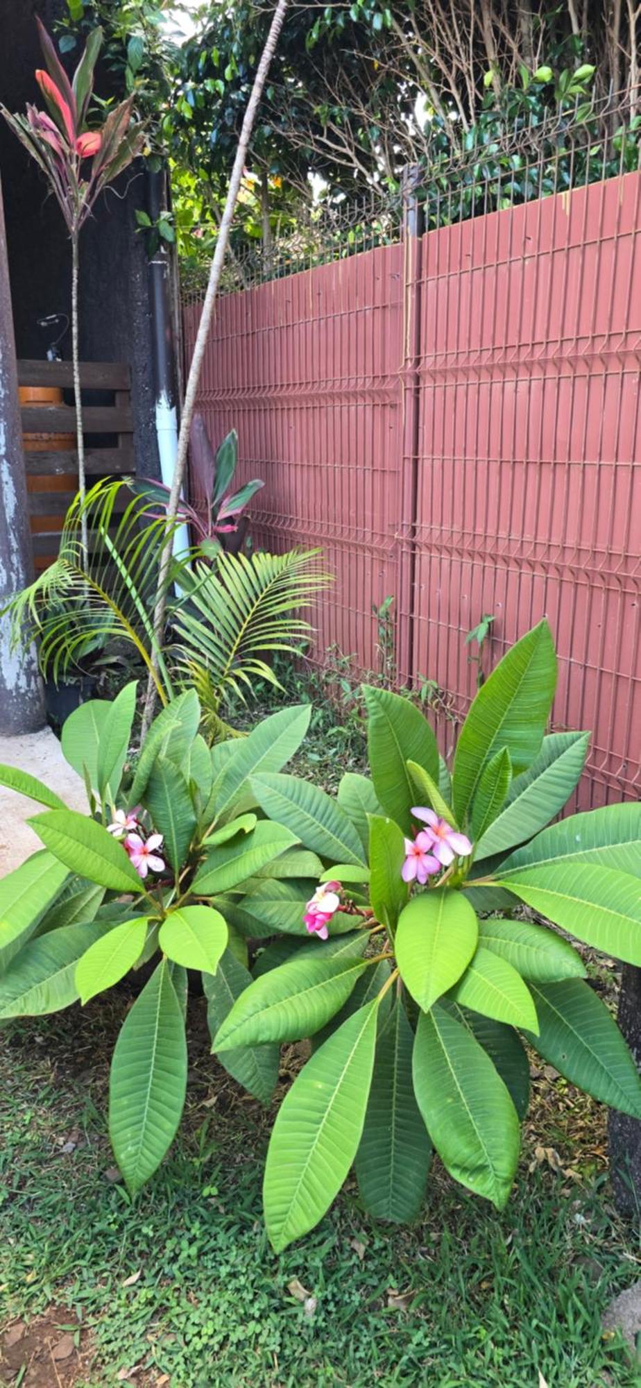 Apartamentos Tupuna Lodge هانجا روا المظهر الخارجي الصورة